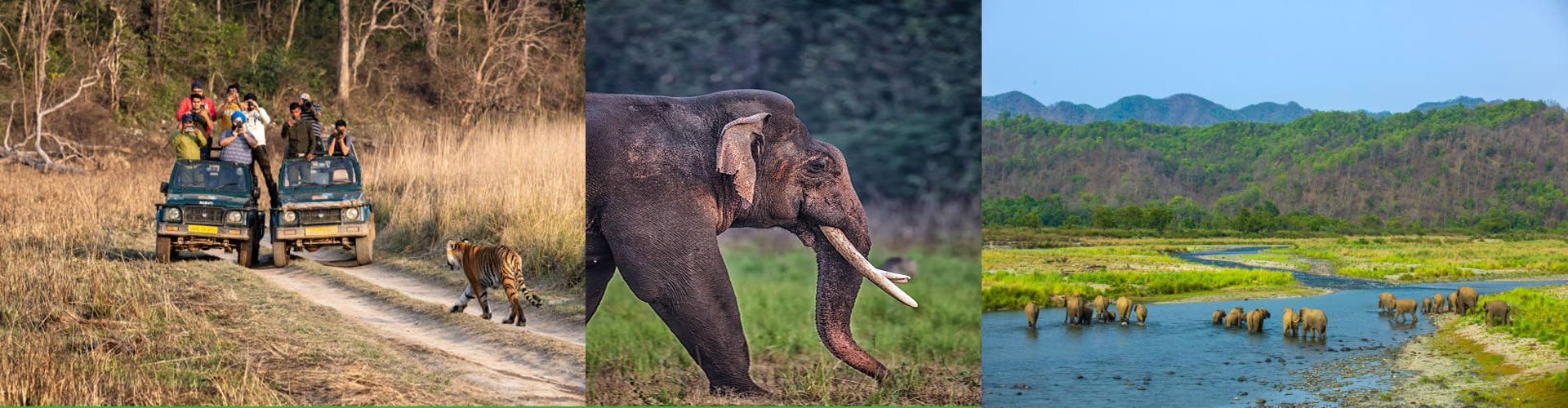Corbett Exploration Tour Banner