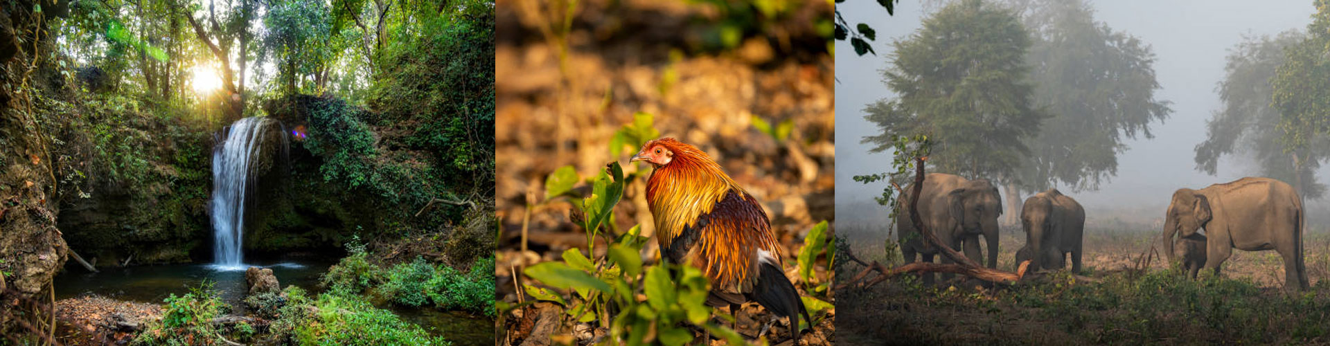 Corbett Waterfall Banner